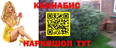 сатива Апшеронск